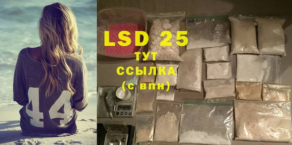 спайс Баксан