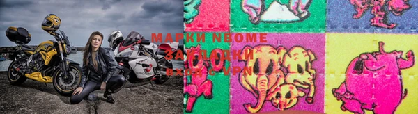 спайс Баксан