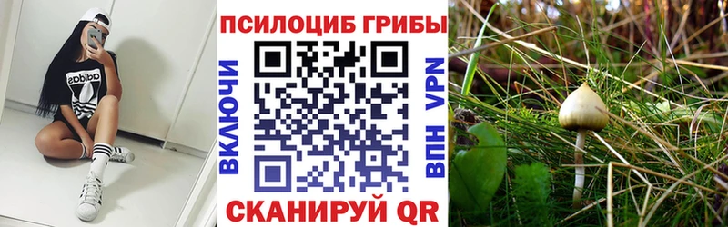 Галлюциногенные грибы MAGIC MUSHROOMS  сколько стоит  OMG ONION  Верхняя Пышма 